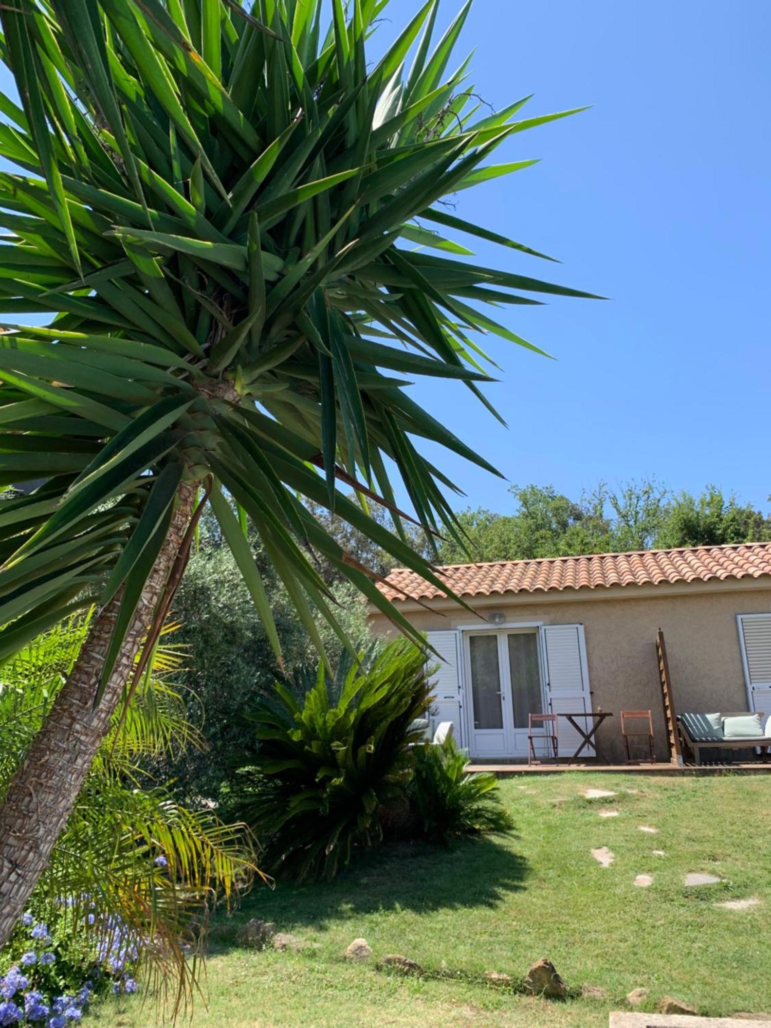 Casa Eva Maria Bed & Breakfast Patrimonio Exterior photo
